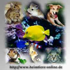 Logo Heimtiere-Online