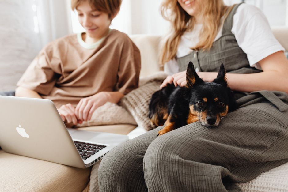 Heimtiere online
