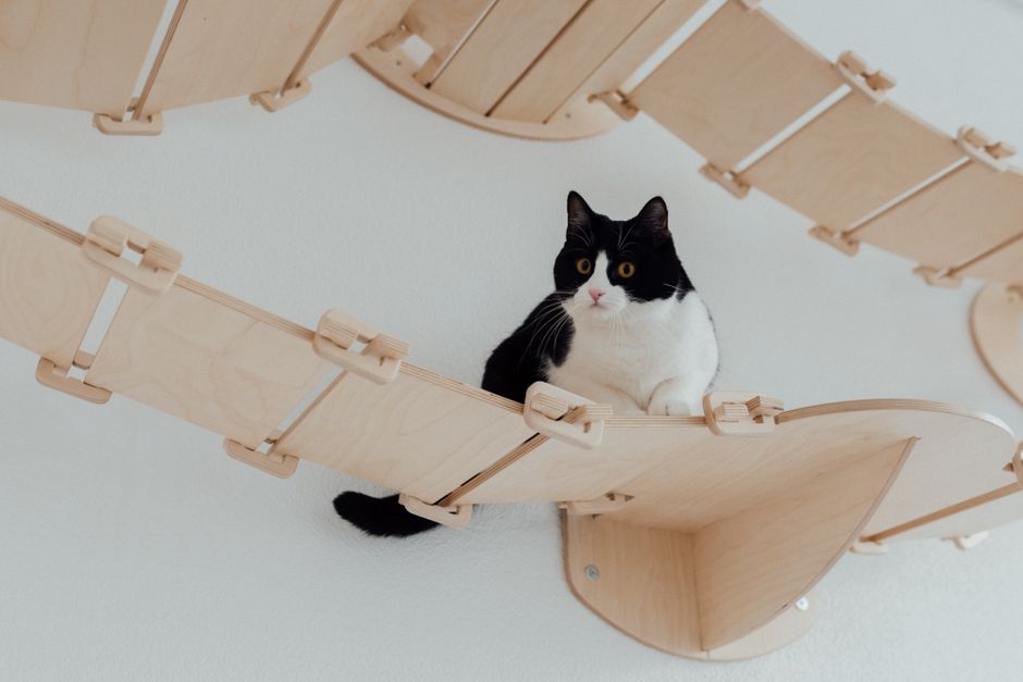Katzenwendeltreppe. Spaß und Bewegung für die Katze!